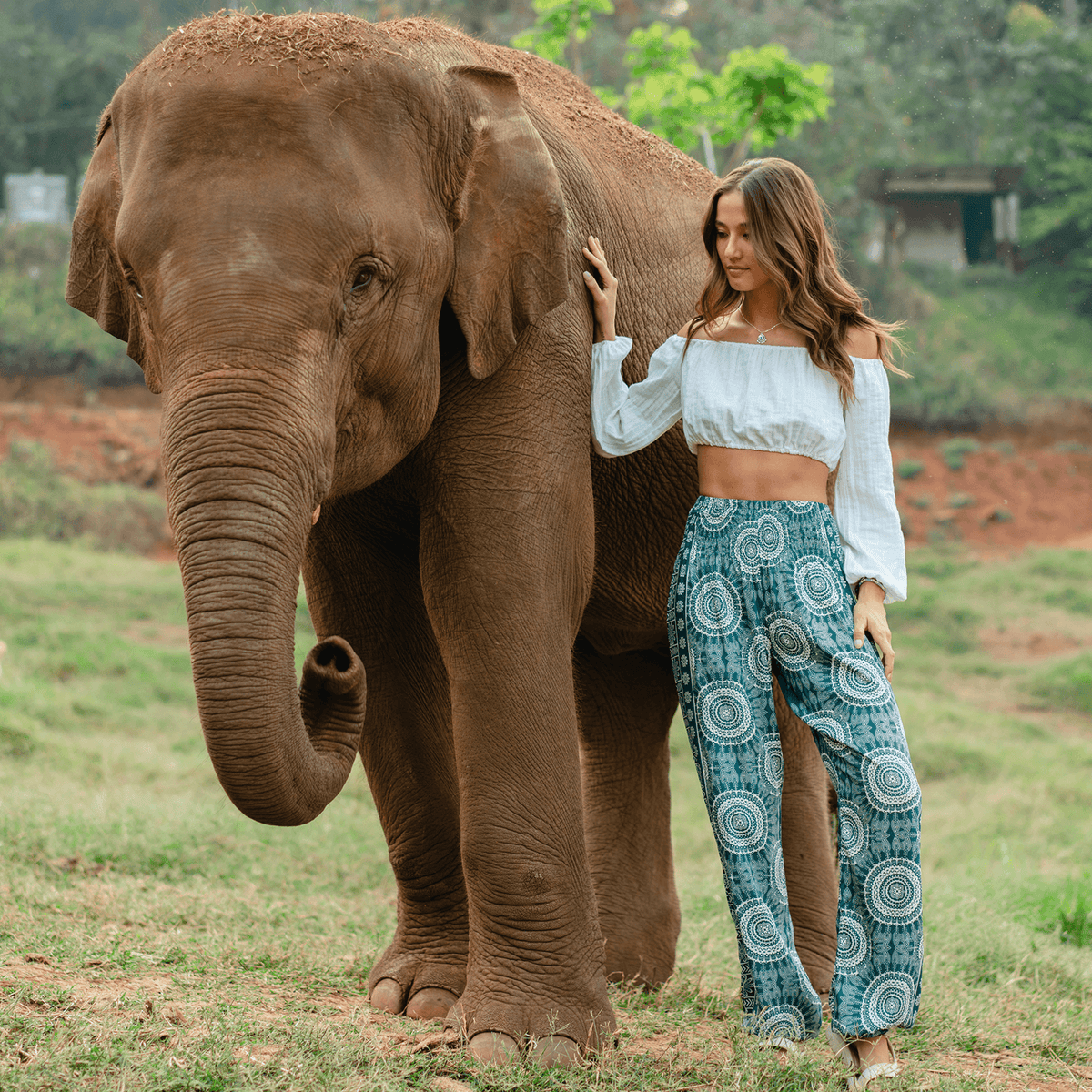 Girl wearing dark green harem pants standing next to an elephant