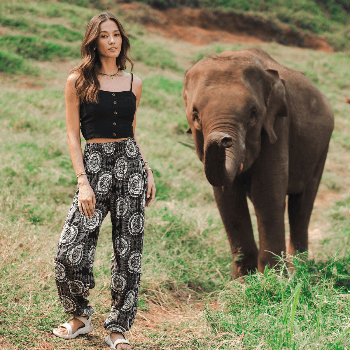 Model standing in front of an elephant wearing a black cotton tank top and black and white mandala print harem pants
